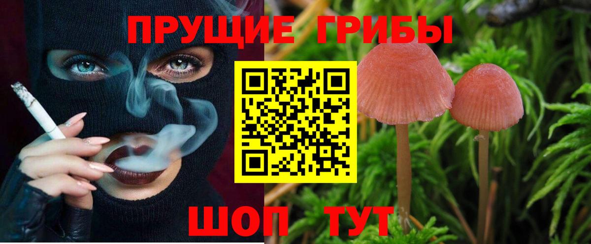 Шадринск  Галлюциногенные грибы мицелий  Вход с VPN 