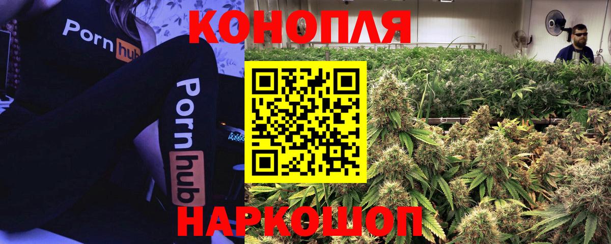 Канабис MAZAR  Конопля MAZAR  Вход с VPN  МАРИХУАНА конопля  Шадринск 